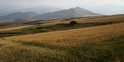 Steppenlandschaft im nördlichen Sjunikh