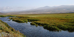 Sumpflandschaft bei Musayelyan