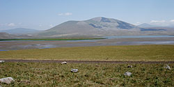 Sumpfiger See an der Grenze bei Zhdanovi