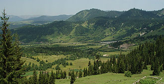 «Schwarzwald»-Landschaft im kleinen Kaukasus