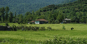 Haus mit typischem Vierwalmdach im Grünen