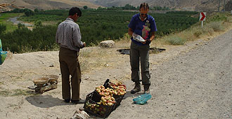 Beim Kauf von «flachen» Pfirsichen im Qara Su Tal