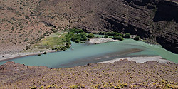 Schlaufe im Cañon des Río Neuquén