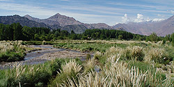 Flusslandschaft mit Pampasgras bei Uspallata