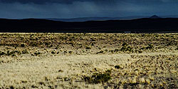 Regenstimmung auf dem Altiplano bei Ayo Ayo