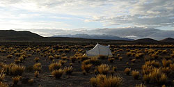 Zeltplatz auf dem Altiplano bei Ayo Ayo
