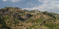 Obstkulturen im Tal südlich von Tekir